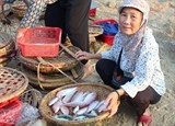 chuyen doi nghe cho ngu dan co ca chet tai 4 tinh mien trung