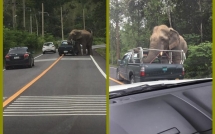 doi bung voi hoang da bat ngo chan xe cuop hoa qua cua nguoi di duong