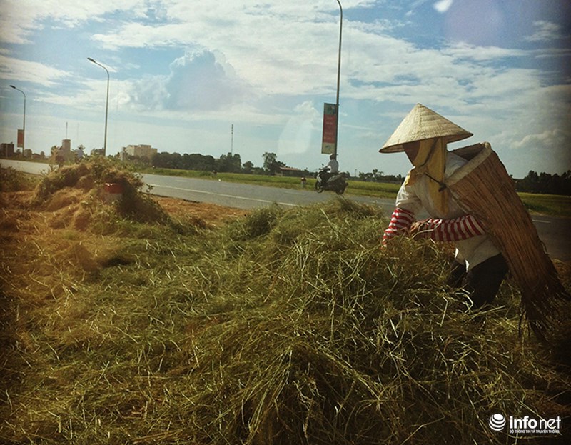 muon kieu tranh nong cua nguoi ha noi