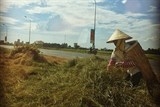 muon kieu tranh nong cua nguoi ha noi