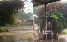 ha noi da co co mua sau dot nang nong ky luc