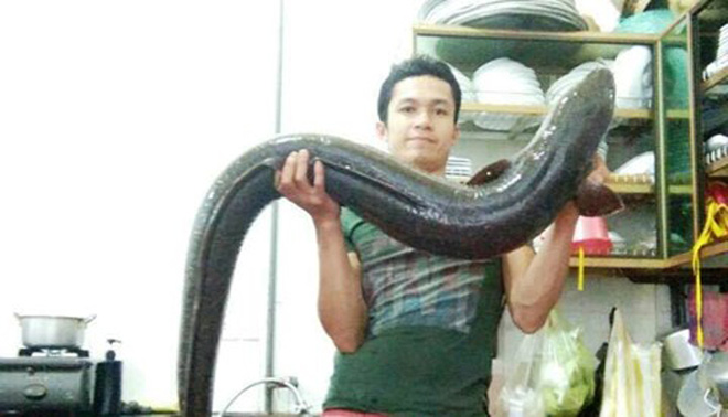 nghe an nguoi dan bat duoc ca lech khung dai khoang 17m thuong lai tra gia 10 trieu dong