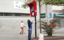 21 tham hoa xay dung cua cac kien truc su dang hoc do thi bi nga cay