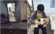 chu cho dang thuong bi chu hanh ha duoc nhom ban tre cuu thoat voi 13 trieu tien chuoc