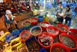 ho tro 60 70 phi xay dung cho buon ban nong lam thuy san