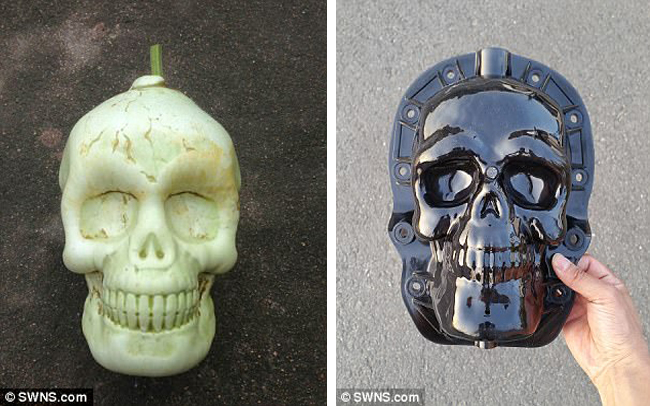 nhung loai qua dot bien co hinh thu ky la toi kho tin