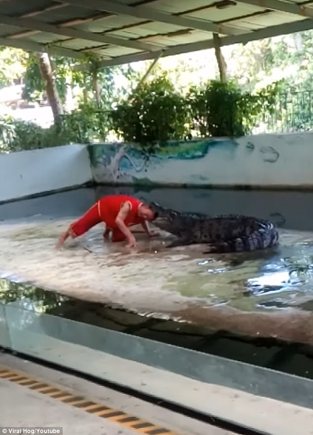 nghe si bieu dien xiec bat ngo bi tan cong khi chui dau vao mieng ca sau