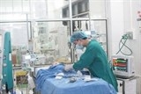 canh bao tu vong nghi do nhiem virus dai tu thu cung