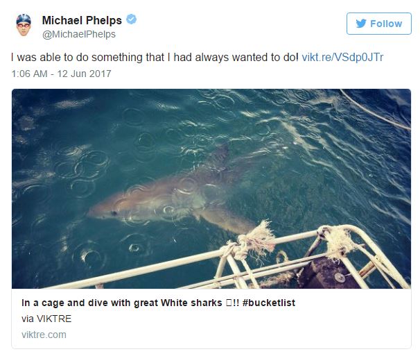 kinh ngu michael phelps se boi thi voi ca map trang duoc chieu tren discovery channel vao ngay 237