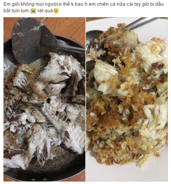 ran ca nat nhu tuong co nang may man nhan duoc long vi tha cua dan mang