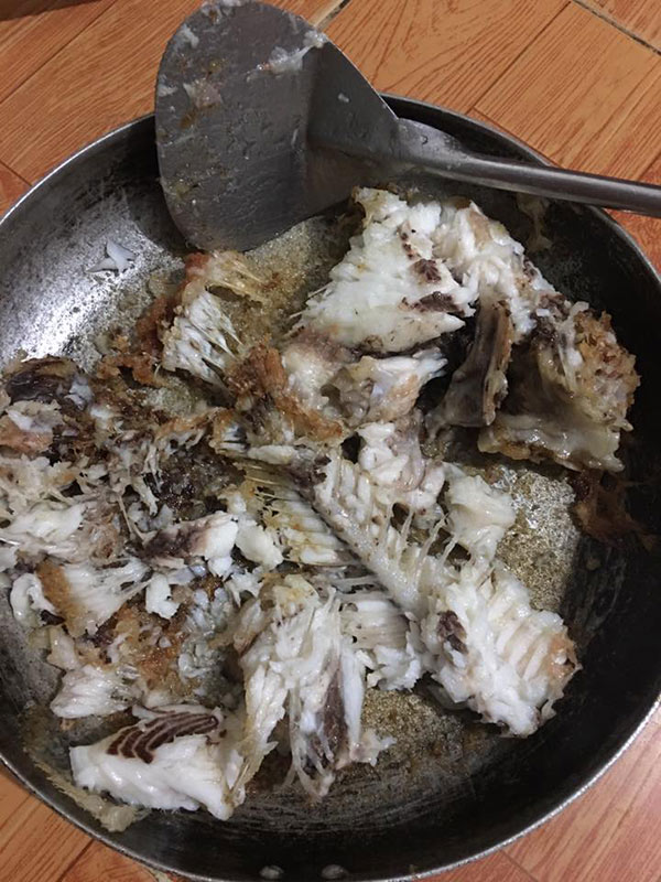 ran ca nat nhu tuong co nang may man nhan duoc long vi tha cua dan mang