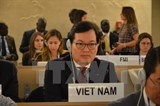 lhq thong qua du thao nghi quyet do viet nam la dong tac gia
