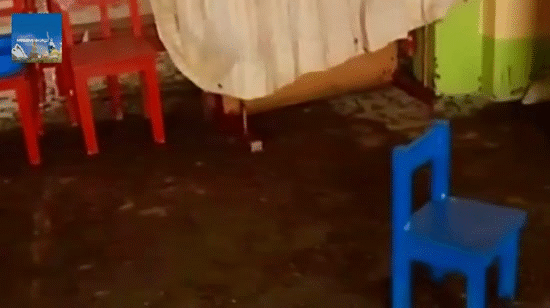 tranh nang nong hang trieu con de chui vao phu kin cac ngoi nha