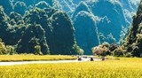 khai mac tuan du lich ninh binh 2018 voi chu de sac vang tam coc trang an