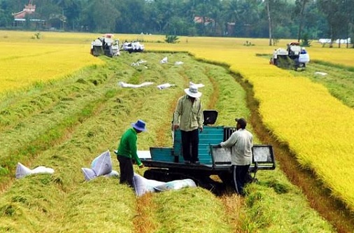 wb ho tro 315 trieu usd cho nong nghiep va giao duc vn