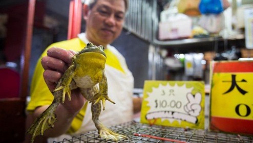 singapore tien hanh uu dai lon nhan dip quoc khanh 50 nam