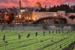 bo ngoa i giao israel ca p ho c bo ng 5 kho a nga n ha n 2015