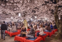 kyoto thanh pho du lich tuyet voi nhat the gioi