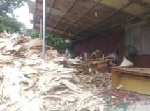 phu tho kien nghi thu hoi dat cong ty cp giay lua viet