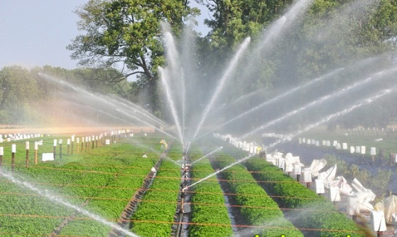 doi moi tu duy cai cach he thong quan tri quoc gia chu dong hoi nhap
