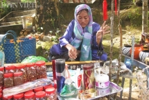 nho tieng dan bau tren dao phu quoc