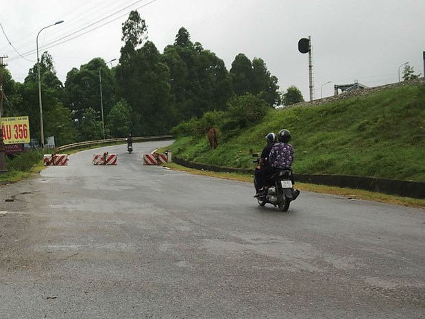 du an bot cau hac tri se khong the hoan duoc von