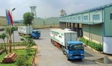 Đề xuất xử phạt hàng trăm triệu đồng vi phạm liên quan đến khí nén CNG