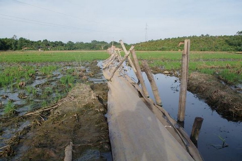 chinh phu yeu cau lam ro viec nha may che bien rac thai do thi viet tri gay o nhiem