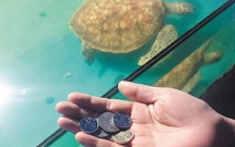 trung quoc nem dong xu vao be thuy cung cau may du khach khien rua chet ngat