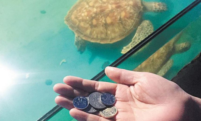 trung quoc nem dong xu vao be thuy cung cau may du khach khien rua chet ngat