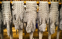 tu trang trai den nha may nhung hinh anh rung ron ve nganh cong nghiep nuoi ca sau thai lan