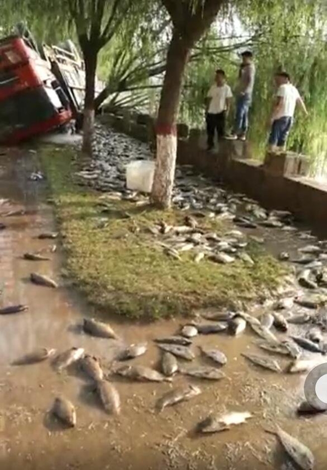 trung quoc lat xe cho ca tuoi nguoi dan no nuc den hoi cua mac cho canh sat het loi khuyen can