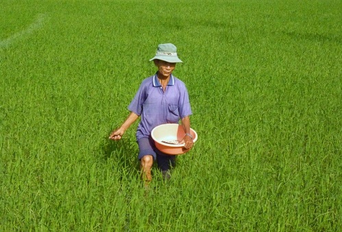 nhap khau phan bon thuoc tru sau tu trung quoc tang dot bien