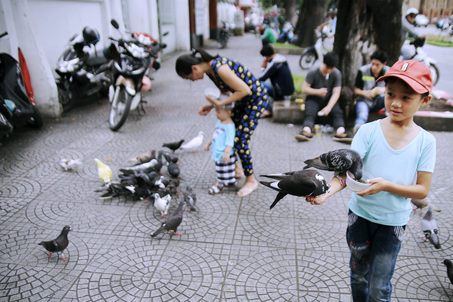 nguoi nhuom mau cho dan bo cau o nha tho duc ba gay tranh cai chung toi chi muon dan bo cau them sinh dong