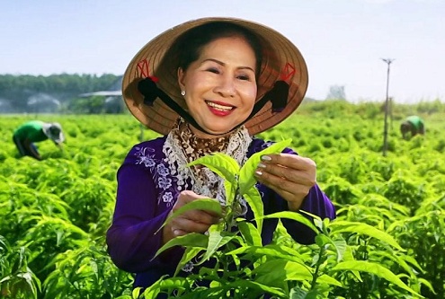 ba vo thi lan giam doc cong ty tam lan khoi nghiep la khong co tuoi