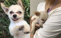 chu cho nho bi bo lai mot minh o san bay nguoi di qua bat khoc khi thay buc thu chu cu de lai