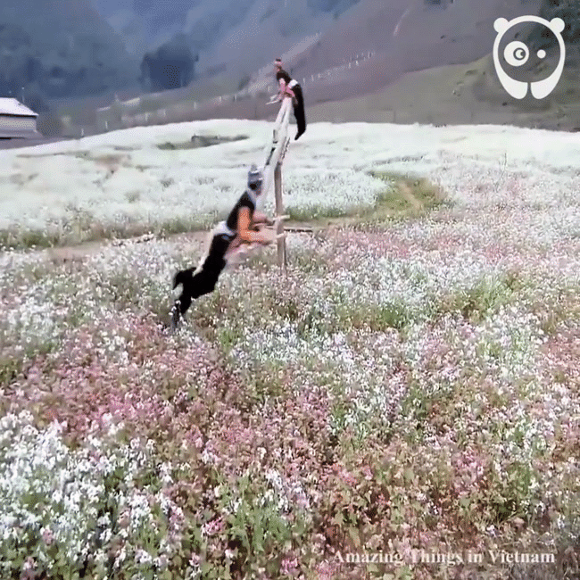 video choi du quay bap benh tai moc chau nhan duoc nhieu loi khen tren bao nuoc ngoai