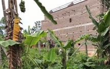 bac giang bo lao xuong ho gas cuu con trai 5 tuoi hai cha con bi ngat khi tu vong