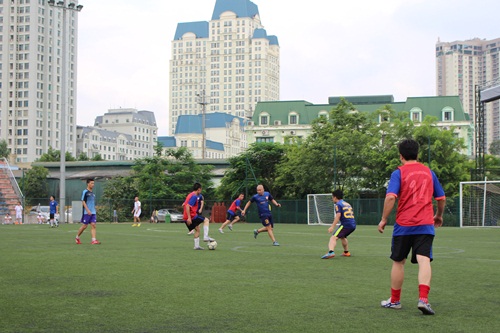 soi dong giai bong da huu nghi viet nam phap 2017