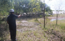 cong an quang binh be trai 6 tuoi nghi bi sat hai sau khi bi dua di khoi nha