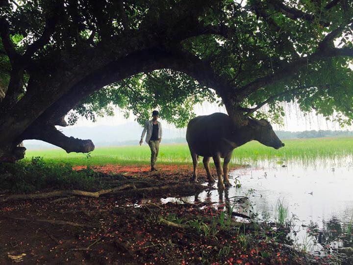 phu tho quan the cay loc vung hon 1000 nam tuoi bung no do ruc