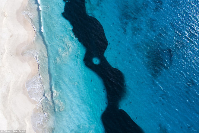 thot tim khoanh khac hang tram con ca map khong lo lon von ngay canh nhom hoc sinh di boi