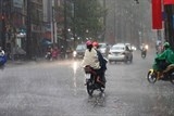 mua to va dong tren dien rong tai bac bo nam bo va tay nguyen den 167
