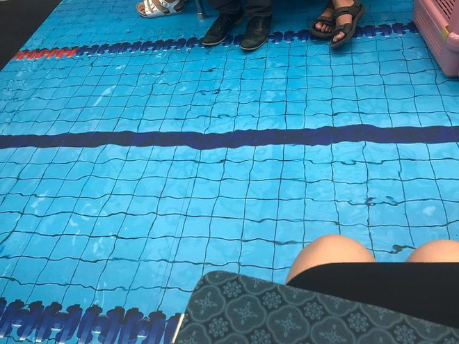 dai loan chao don universiade bang cach mang ca san co be boi len tau dien ngam