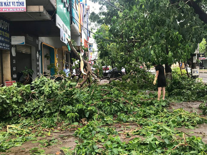 chum anh duong pho tp vinh nghe an tan hoang sau bao so 2