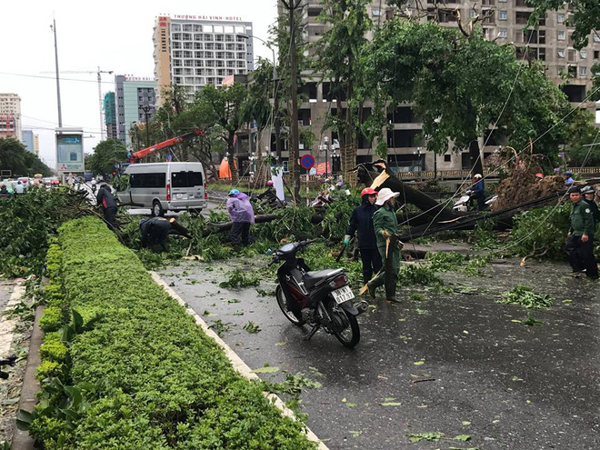 chum anh duong pho tp vinh nghe an tan hoang sau bao so 2