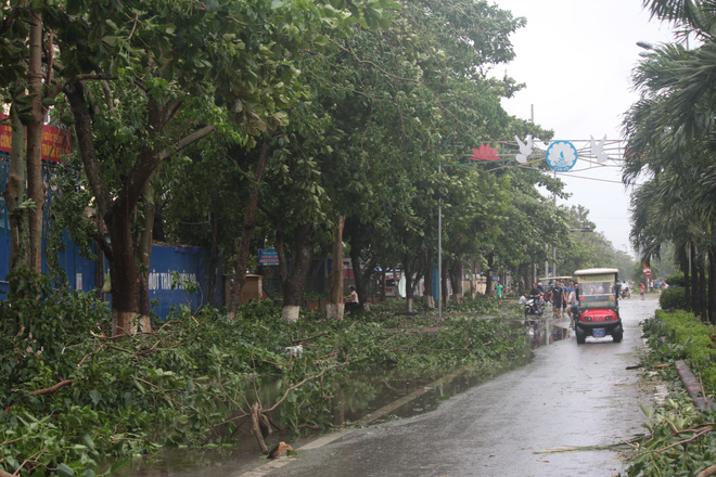 hinh anh tan hoang sau con bao so 2 o mien trung