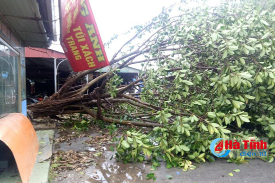 bao do bo nghe an ha tinh 1 nguoi chet nhieu nha toc mai cay gay do