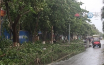 nghe an mot nguoi tu vong sau con bao so 2