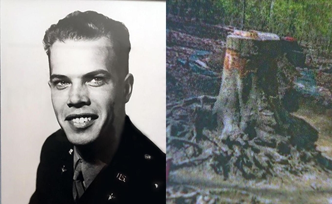 70 nam sau cu no may bay nguoi ta da sung so khi tim thay hai cot phi cong ngap sau trong re cay